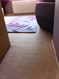 Local Carpet and Upholstery Cleaning 1053085 Image 1